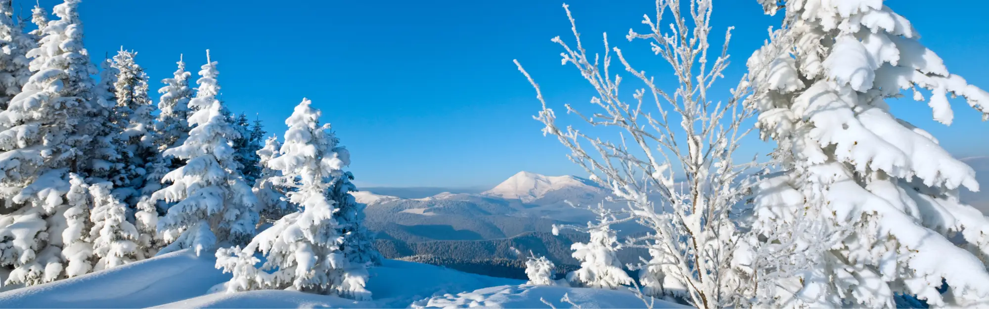 Pipot omalla logolla – varastopipot yrityksille | ZigiZagi