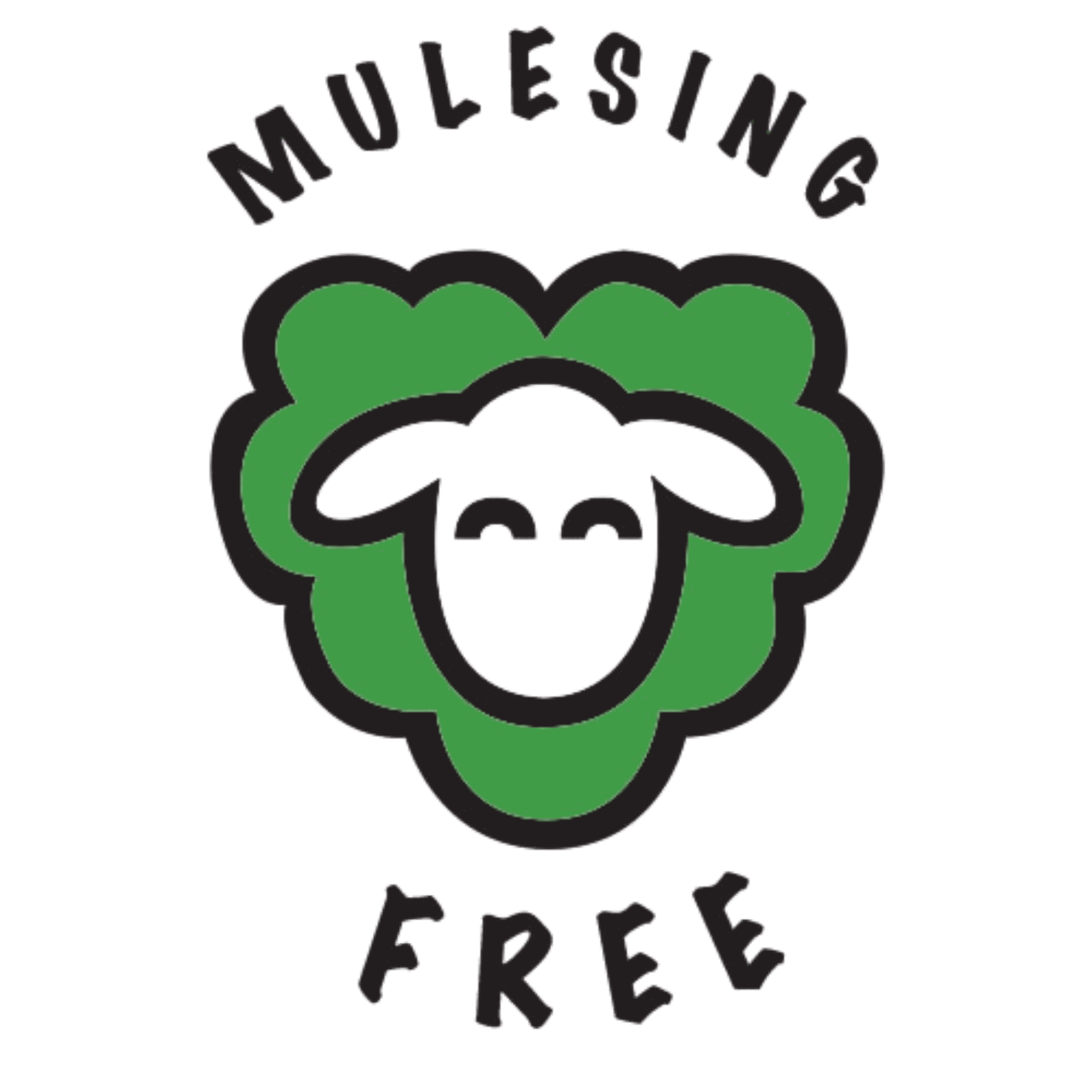 Kuru 100% Merinovillapipo omalla logolla - Mulesing vapaa Italialainen merinovilla.