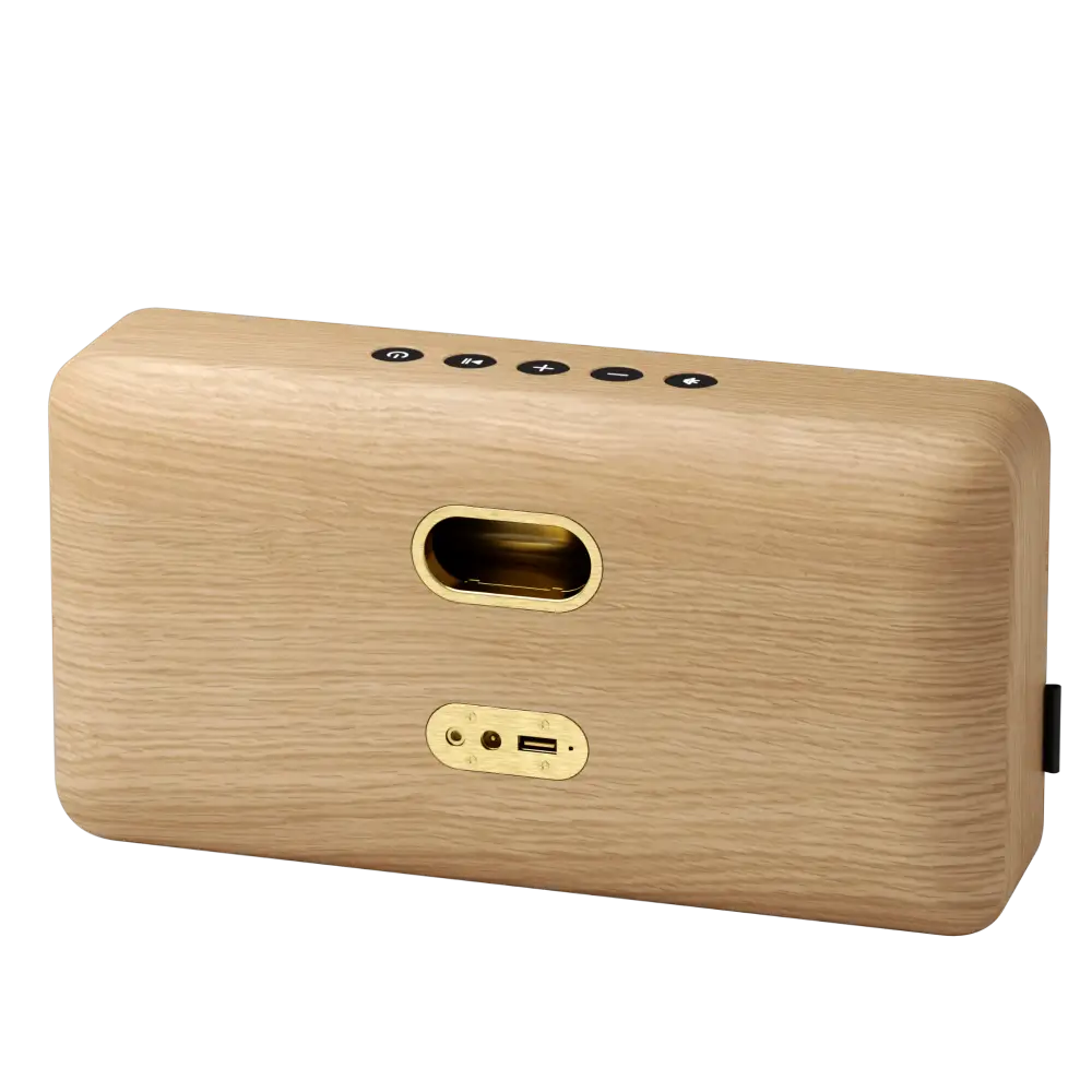 Bluetooth kaiutin Move Wood Oak kuva takaa