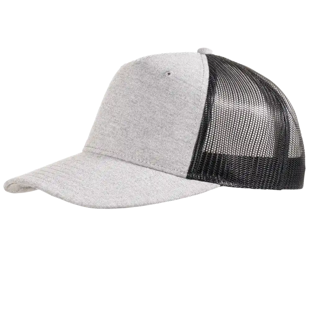 Snap Curved 5-panel lippis logolla, vÀri Ash grey