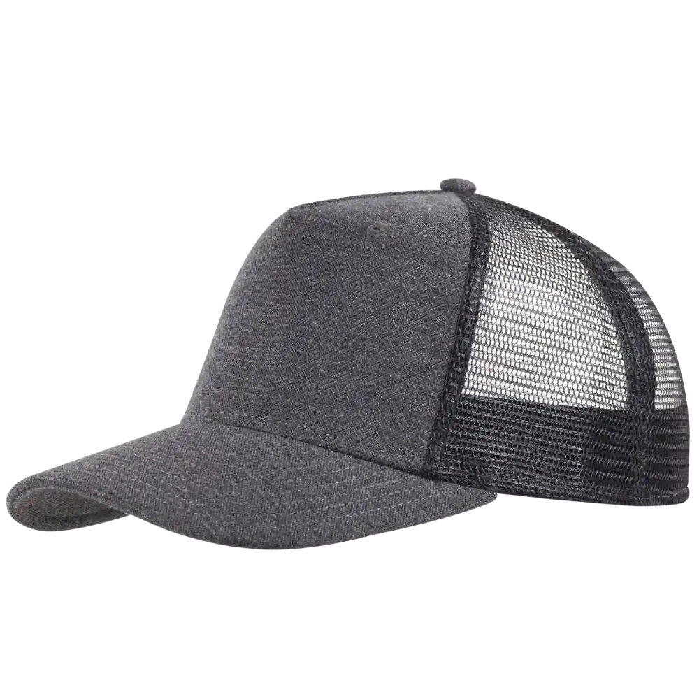 Snap Curved 5-panel lippis logolla, vÀri Harmaa