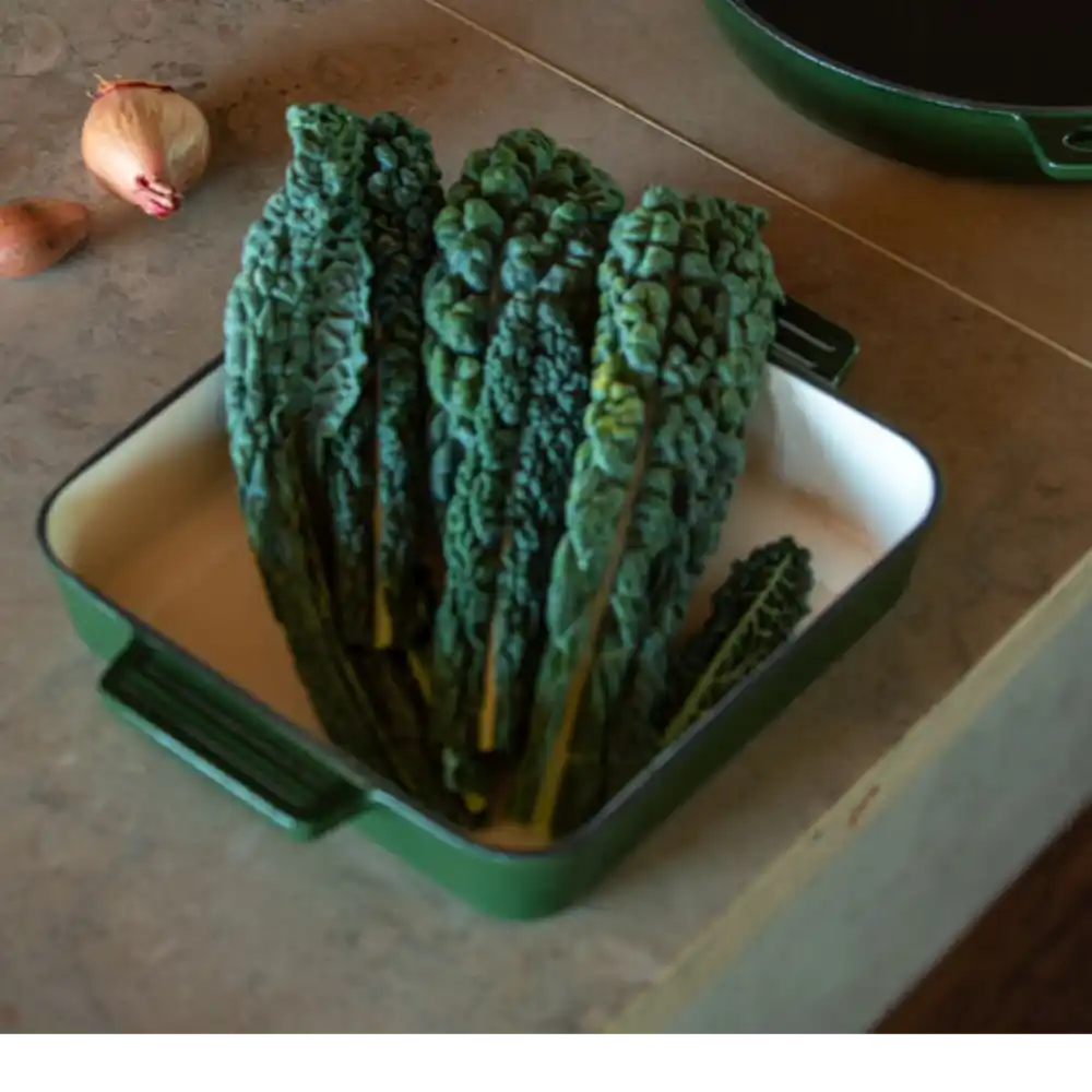 Valurautavuoka - Henkilökunnan joululahjaksi - Yritysten joululahjat - KOTI JA HYVINVOINTI