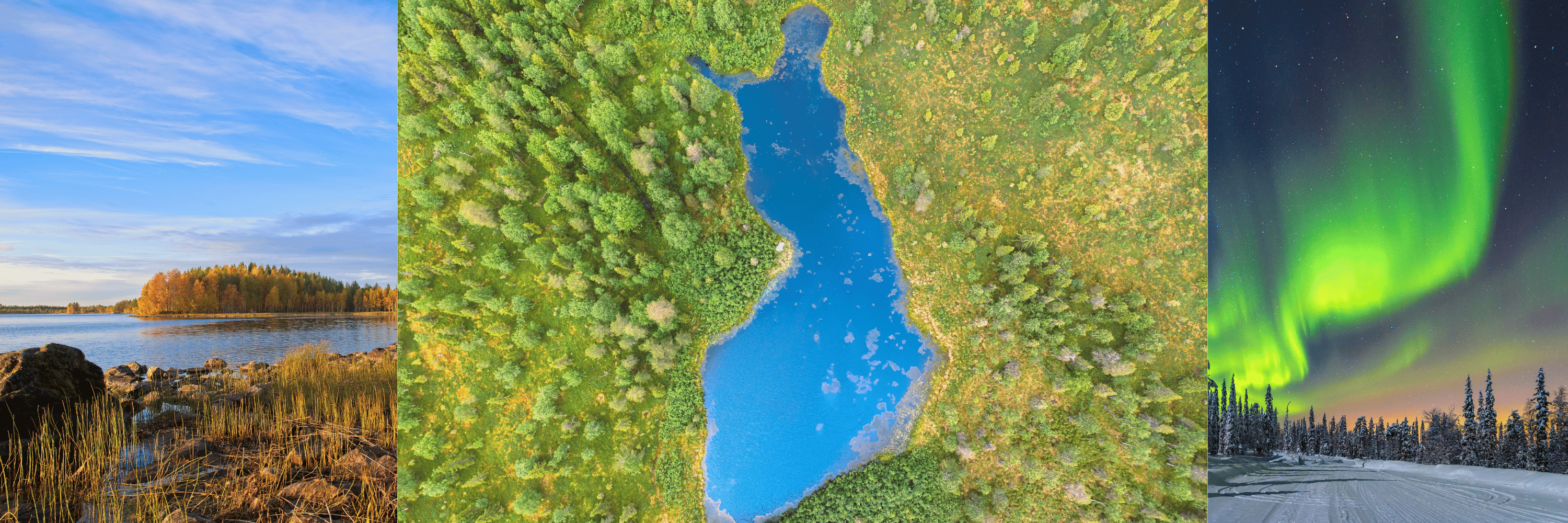 Kotimaiset liikelahjat