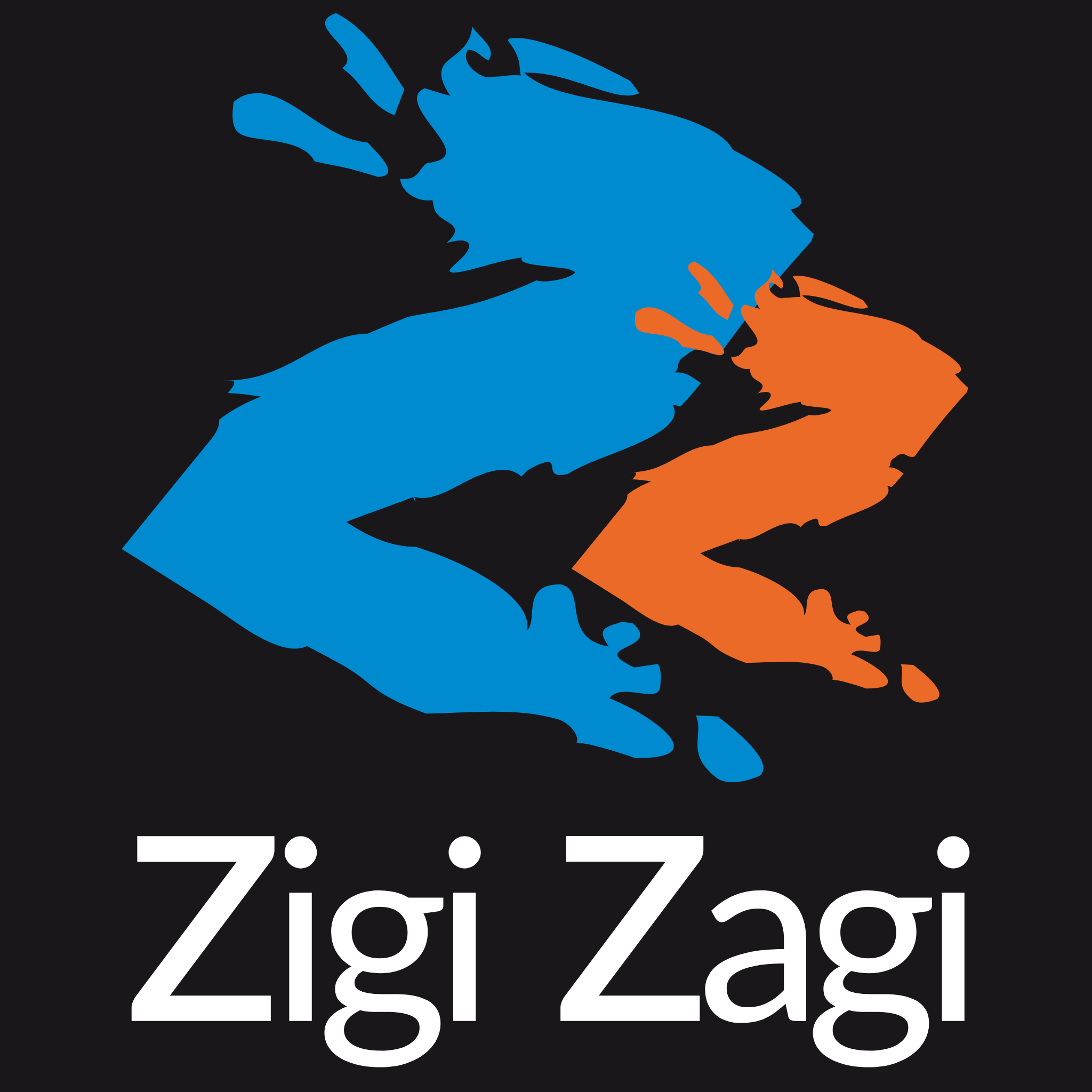 Zigi Zagi logo