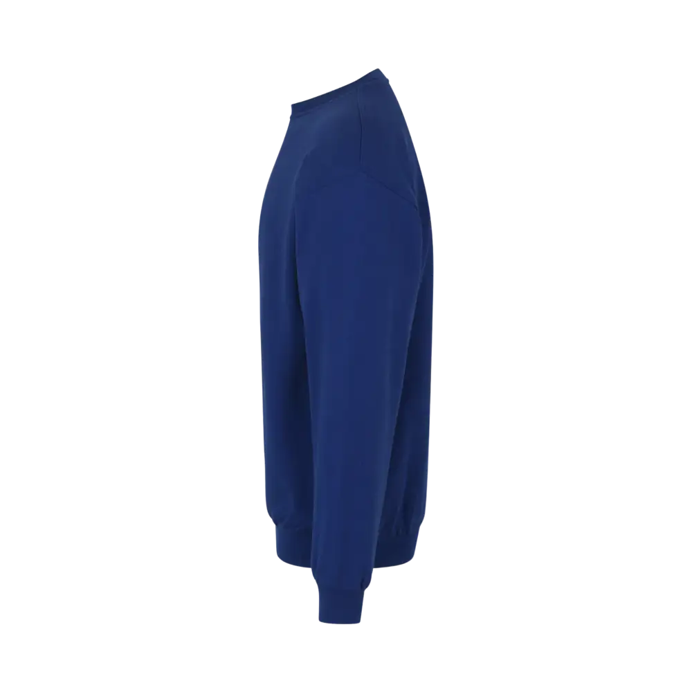 College_logolla-sivu-Royal_blue-ZigiZag