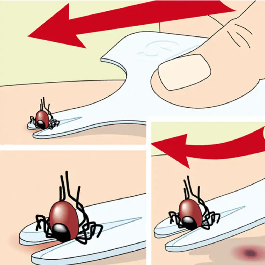 SafeCard -punkinpoistaja - Messut