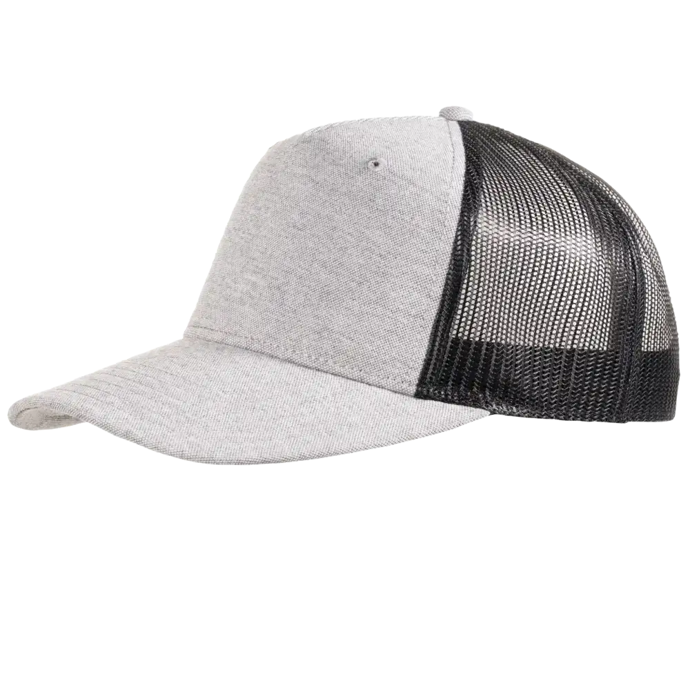 Snap Curved 5-panel lippis logolla, väri Ash grey