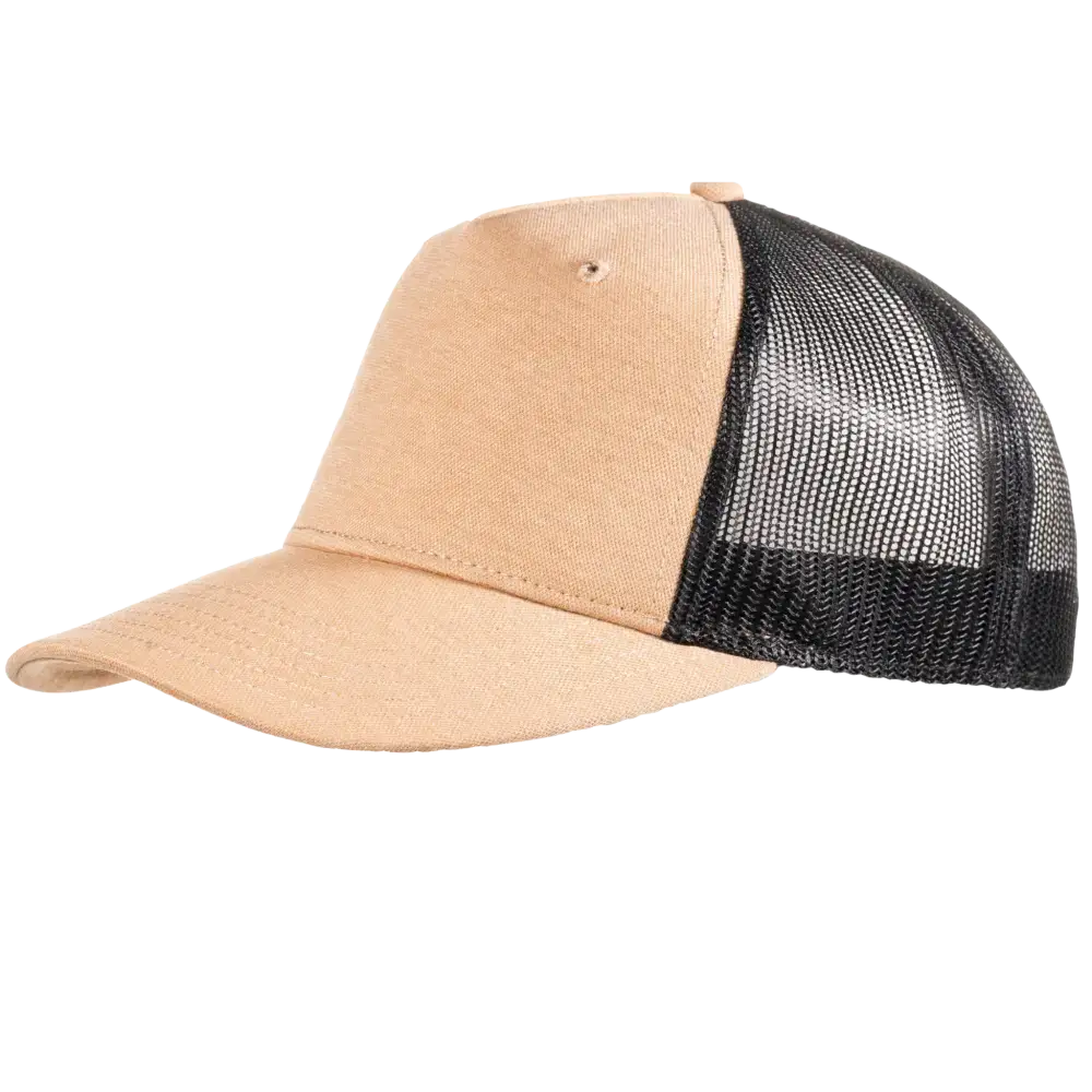 Snap Curved 5-panel lippis logolla, väri Beige